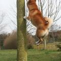 agility maison