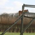 agility maison