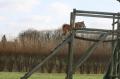 agility maison
