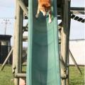 agility maison