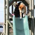 agility maison