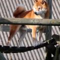 agility maison