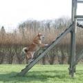 agility maison