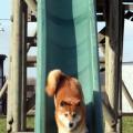 agility maison