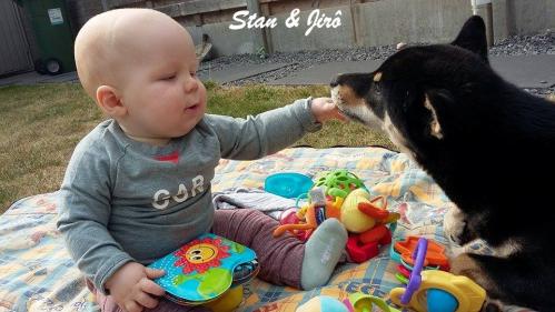 Enfants ,bébés et un shiba inu