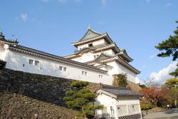 -wakayama-castle-2011-kuruwa.jpg