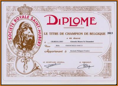 Champion jeune de Belgique