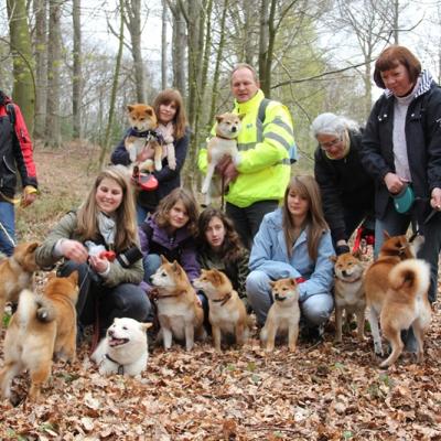 Balde entre shiba & Co