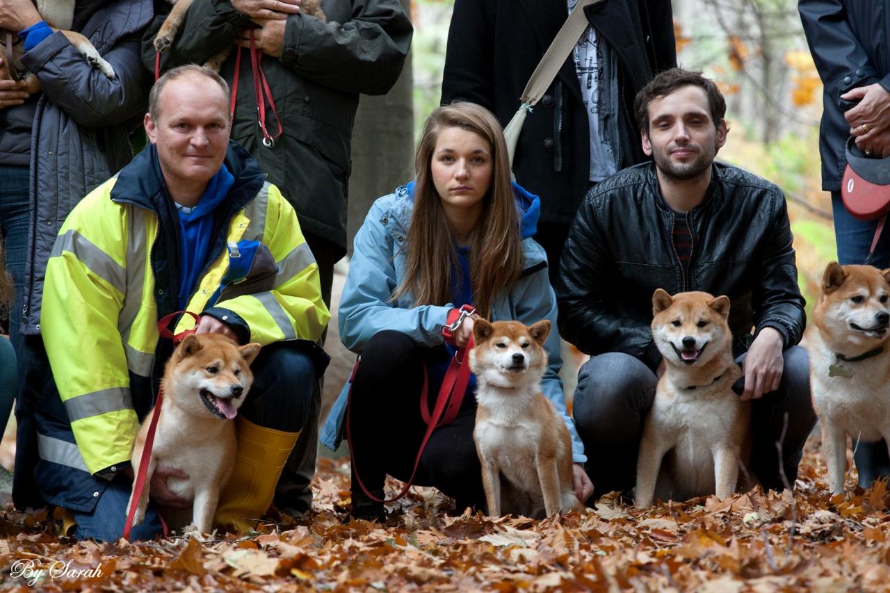 Hillock Snowy shiba team