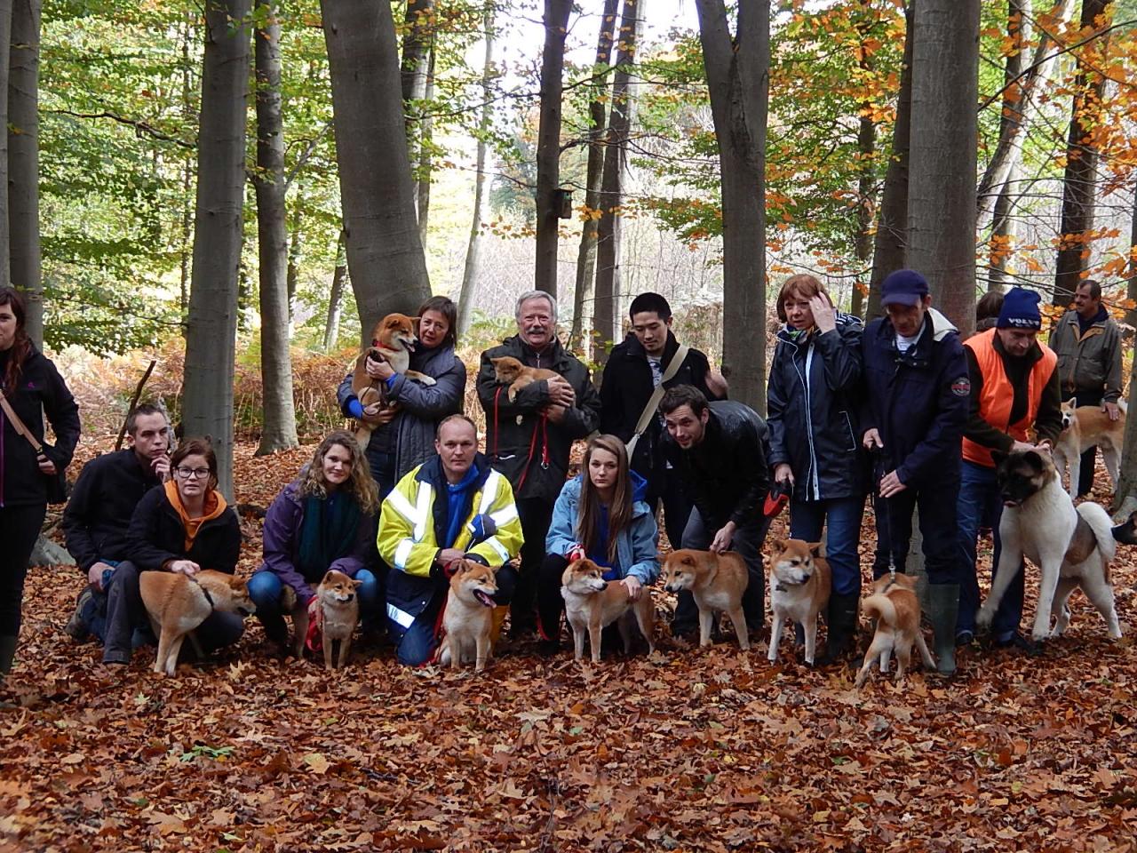 Hillock Snowy Shiba team