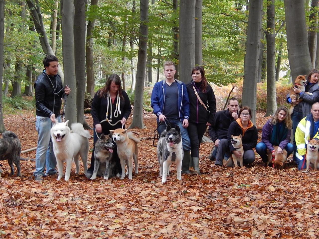 Balade Akita club octobre 2013