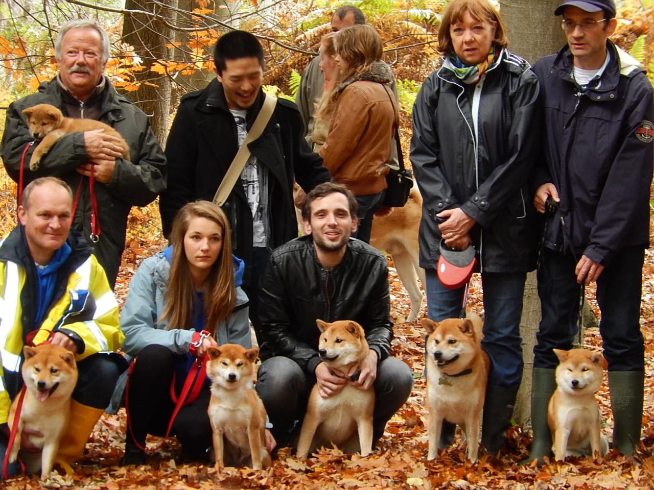 Hillock Snowy Shiba team