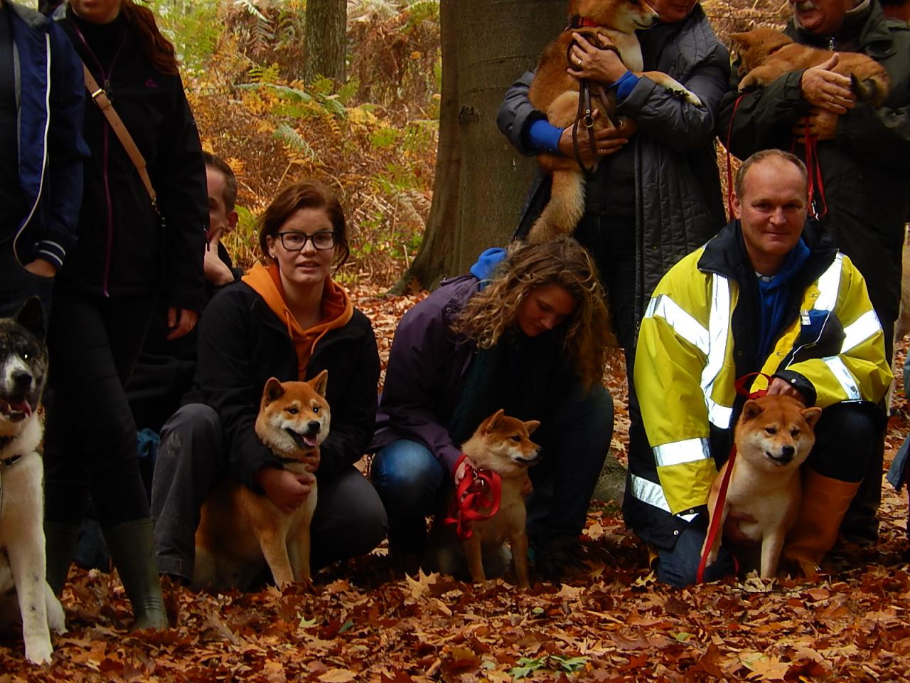 Hillock Snowy Shiba team