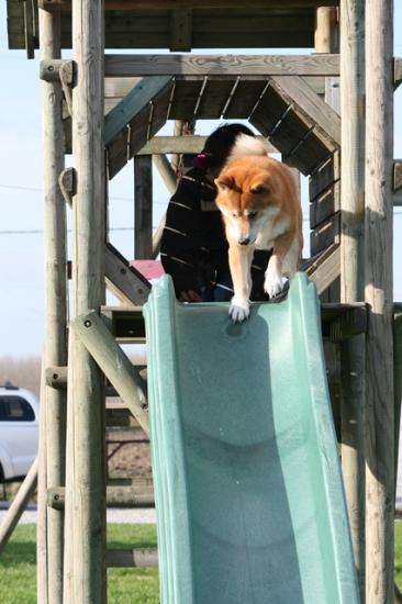 agility maison