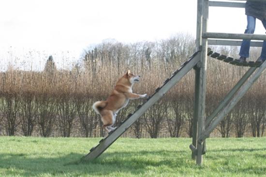 agility maison