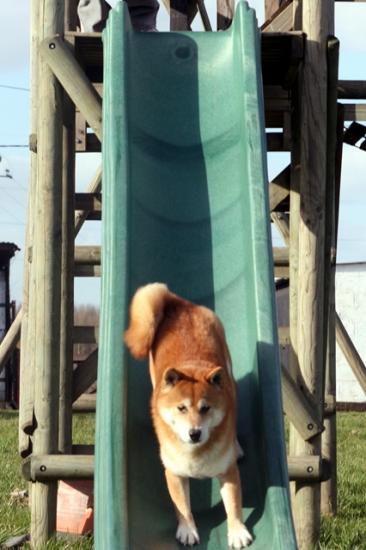 agility maison