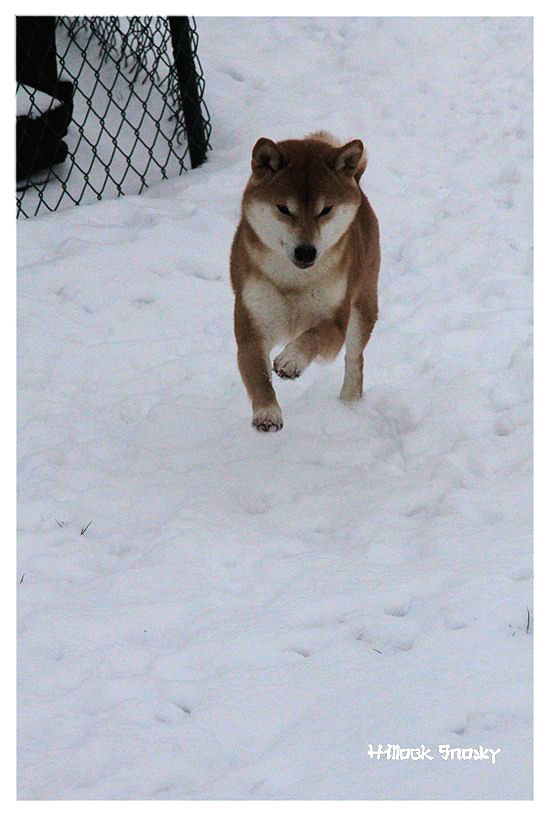 It's time to play in the snow