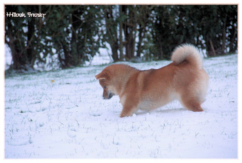 It's time to play in the snow