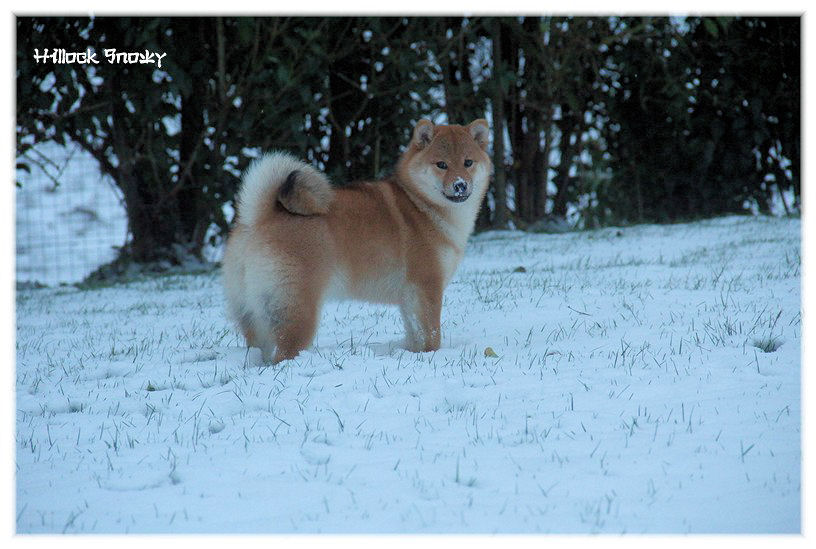 It's time to play in the snow