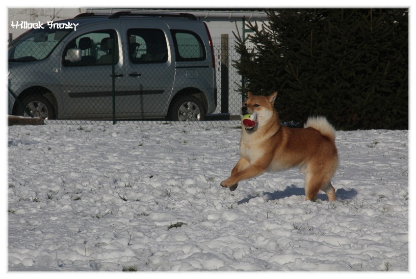It's time to play in the snow