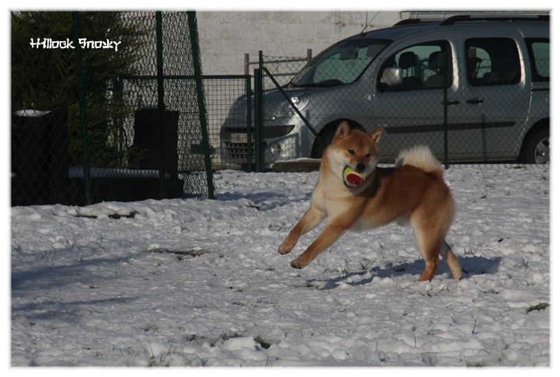 It's time to play in the snow