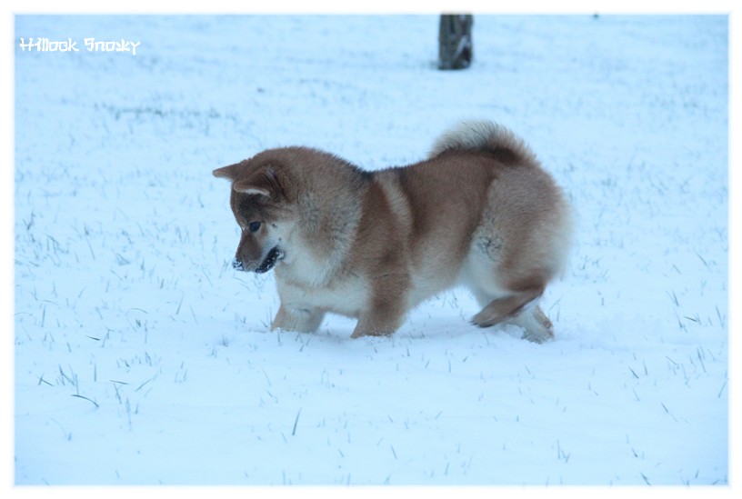 It's time to play in the snow