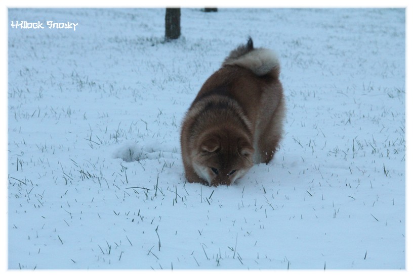 It's time to play in the snow