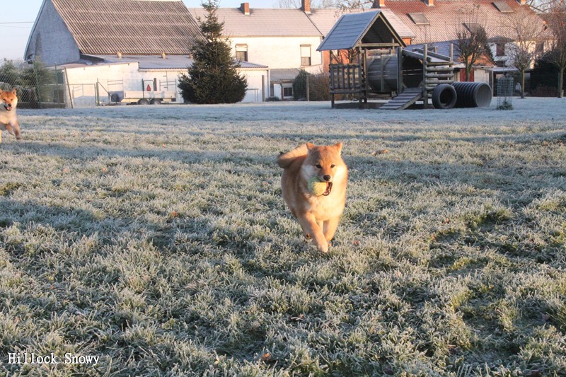 It's time to play in the snow