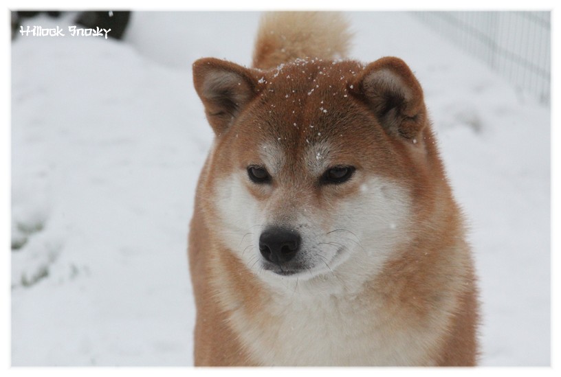 It's time to play in the snow