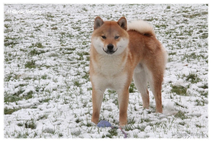 It's time to play in the snow