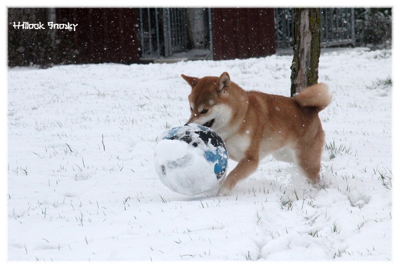 It's time to play in the snow