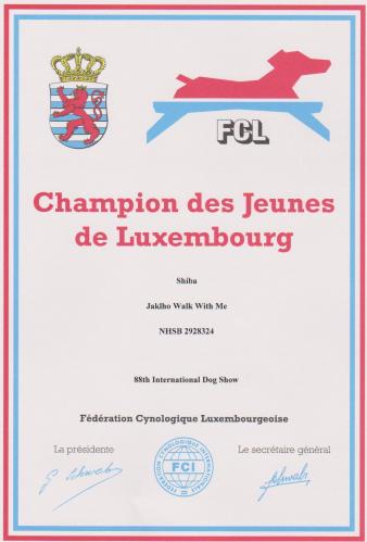 shiba champion des jeunes luxembourg