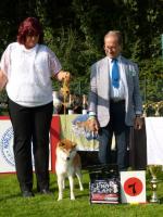 Shiba Kitai meilleur jeune expo