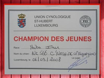 Natsu Hime champion jeune luxembourg