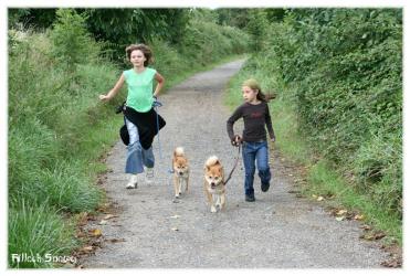 shiba inu et enfants