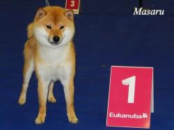 expo-genk-masaru shiba