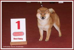 SHIBA öKAMI SHOW GENK