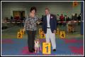 Ichigo Hime Championne du Luxembourg 2011