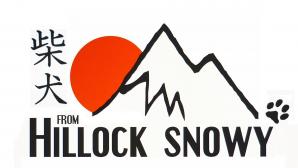 Logo élevage Shiba From Hillock Snowy Belgique
