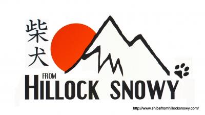Logo shiba inu from Hillock Snowy