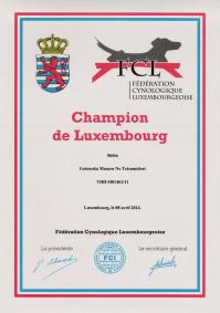 Champion du Luxembourg 2014 Masaru