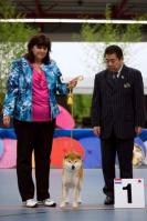 shiba kitai et Mr Bessho satoshi BoB nippo show