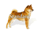 le nouveau standard du shiba 2017